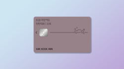 KB국민 탄탄대로 오토카드