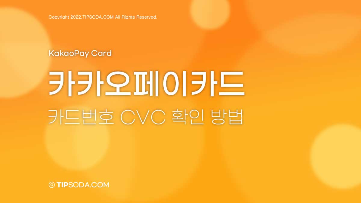 카카오페이 카드 카드번호 CVC 확인하는 방법