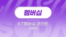 kt 멤버십 포인트 사용처