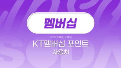 kt 멤버십 포인트 사용처
