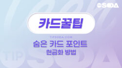 숨은 카드 포인트 현금화 방법