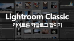 라이트룸 카탈로그 합치기