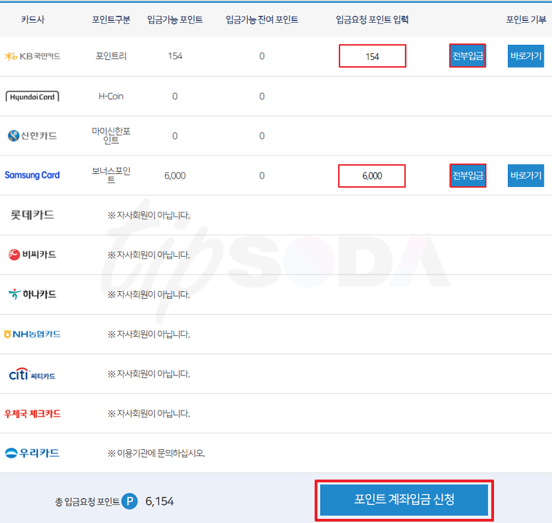 입금할 신용카드 포인트 입력