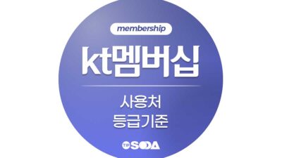 kt 멤버십 사용처