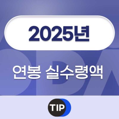 2025년 연봉 실수령액