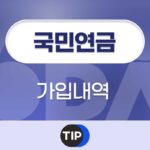 국민연금 가입내역