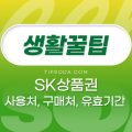 SK 상품권 사용처