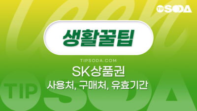 SK 상품권 사용처